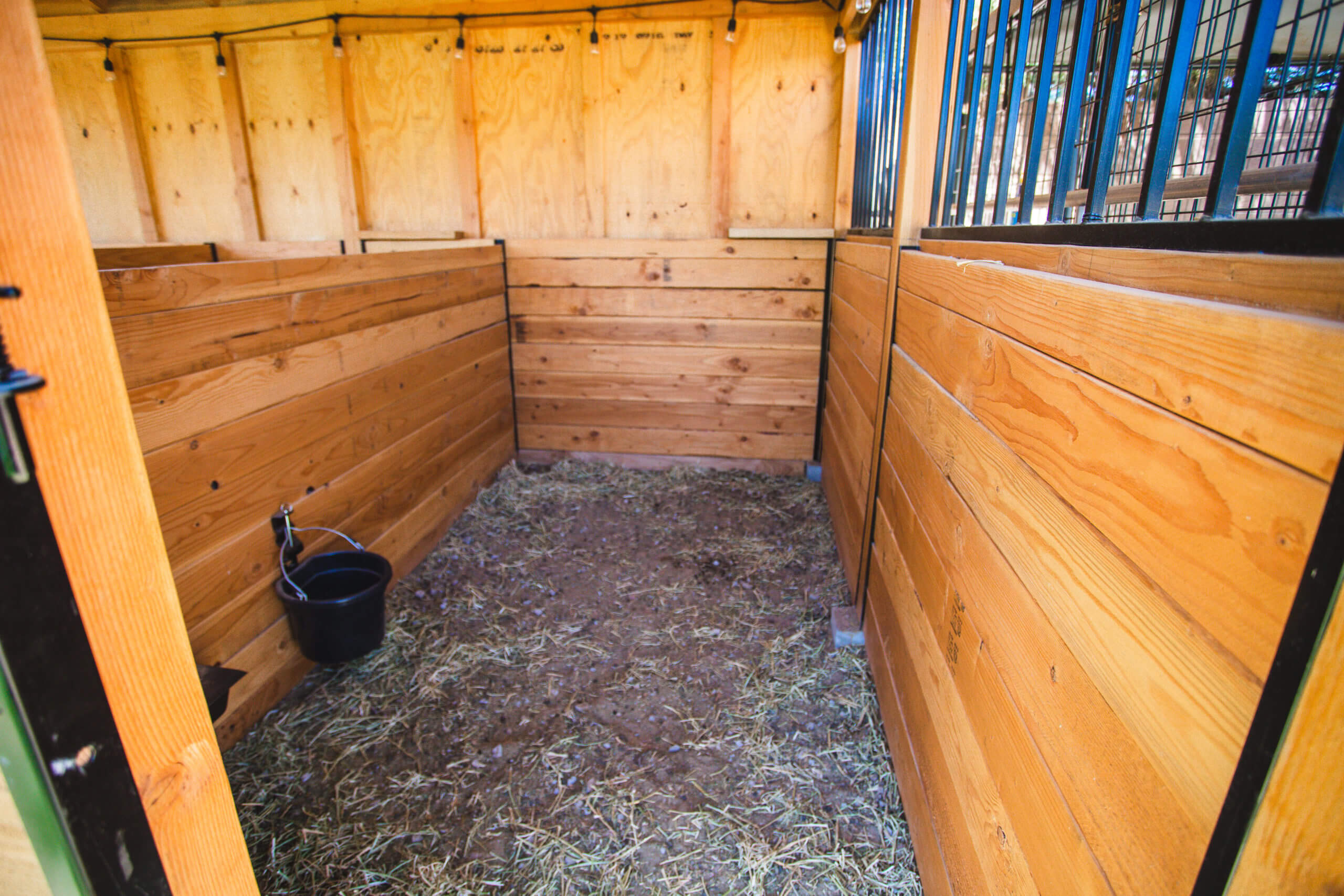 A clean and prepared kidding stall with deep straw bedding.